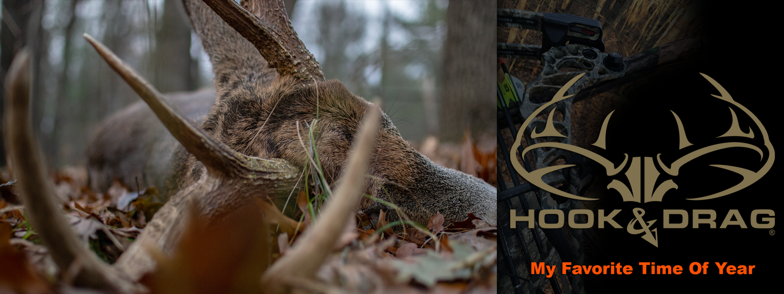 HD Big Buck